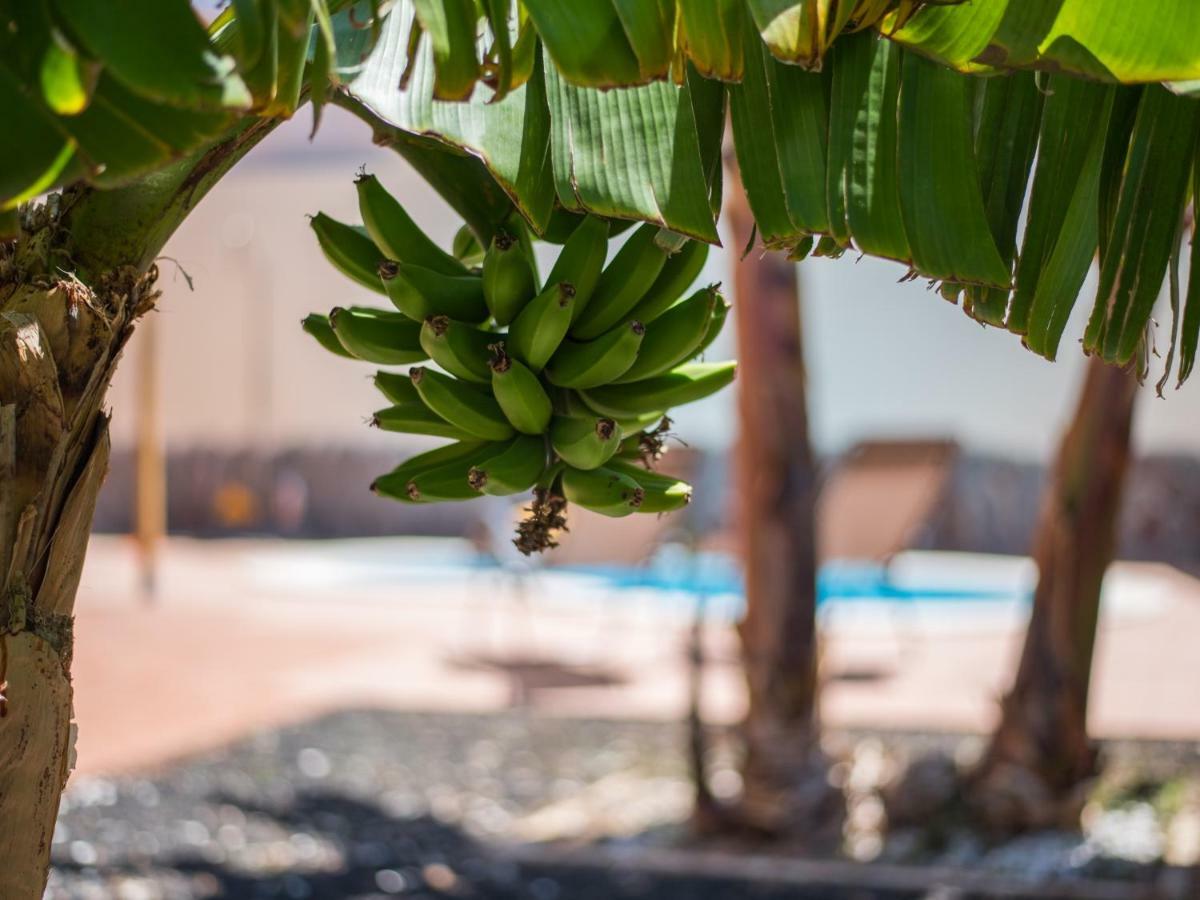 Amazing Villa Viktoria! Pool Big Garden Costa Adeje (Tenerife) Exterior foto